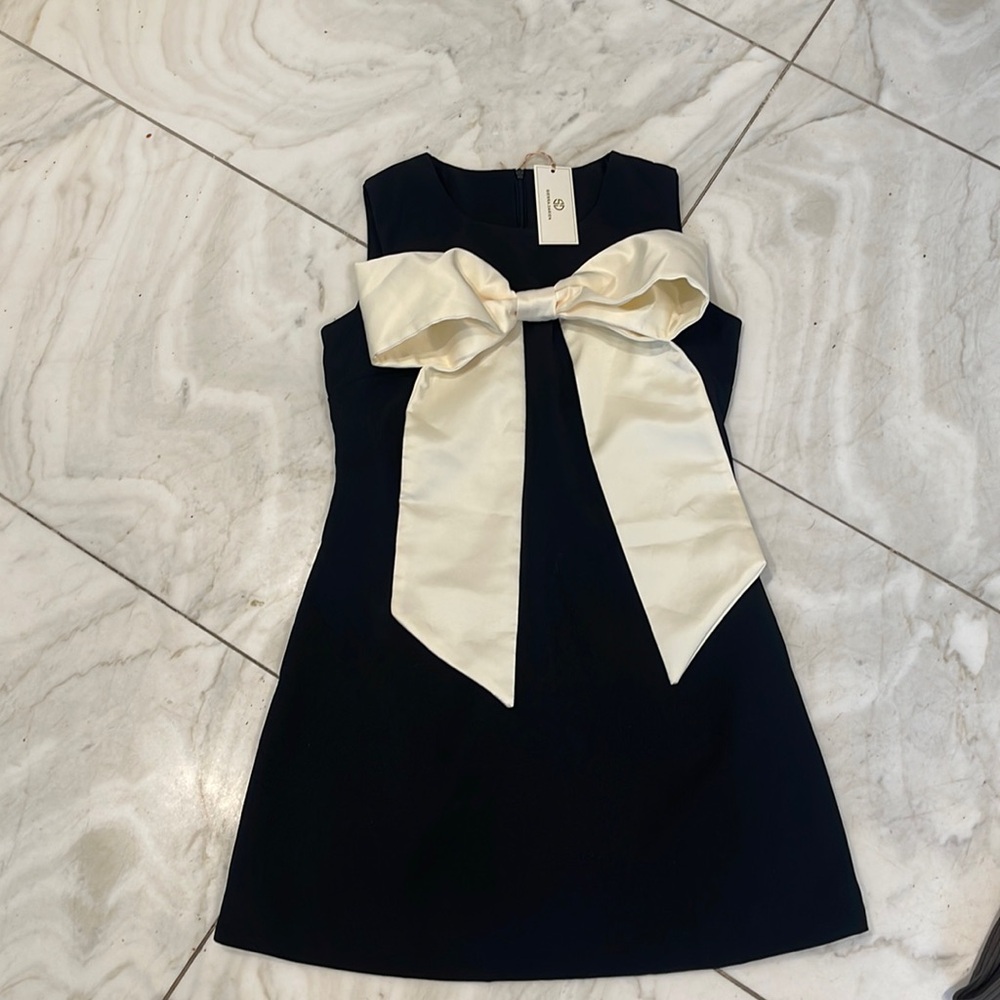 Sierra Darien new dress with tags- Sleeveless Massive Ribbon Mini Dress - Black